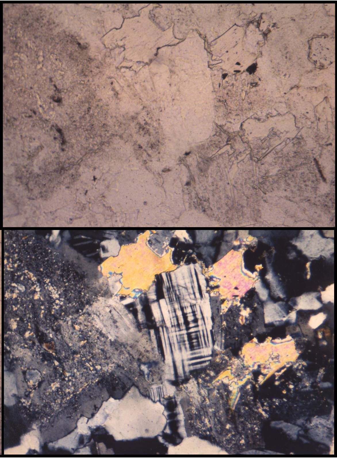 Leucogranite microgrenue