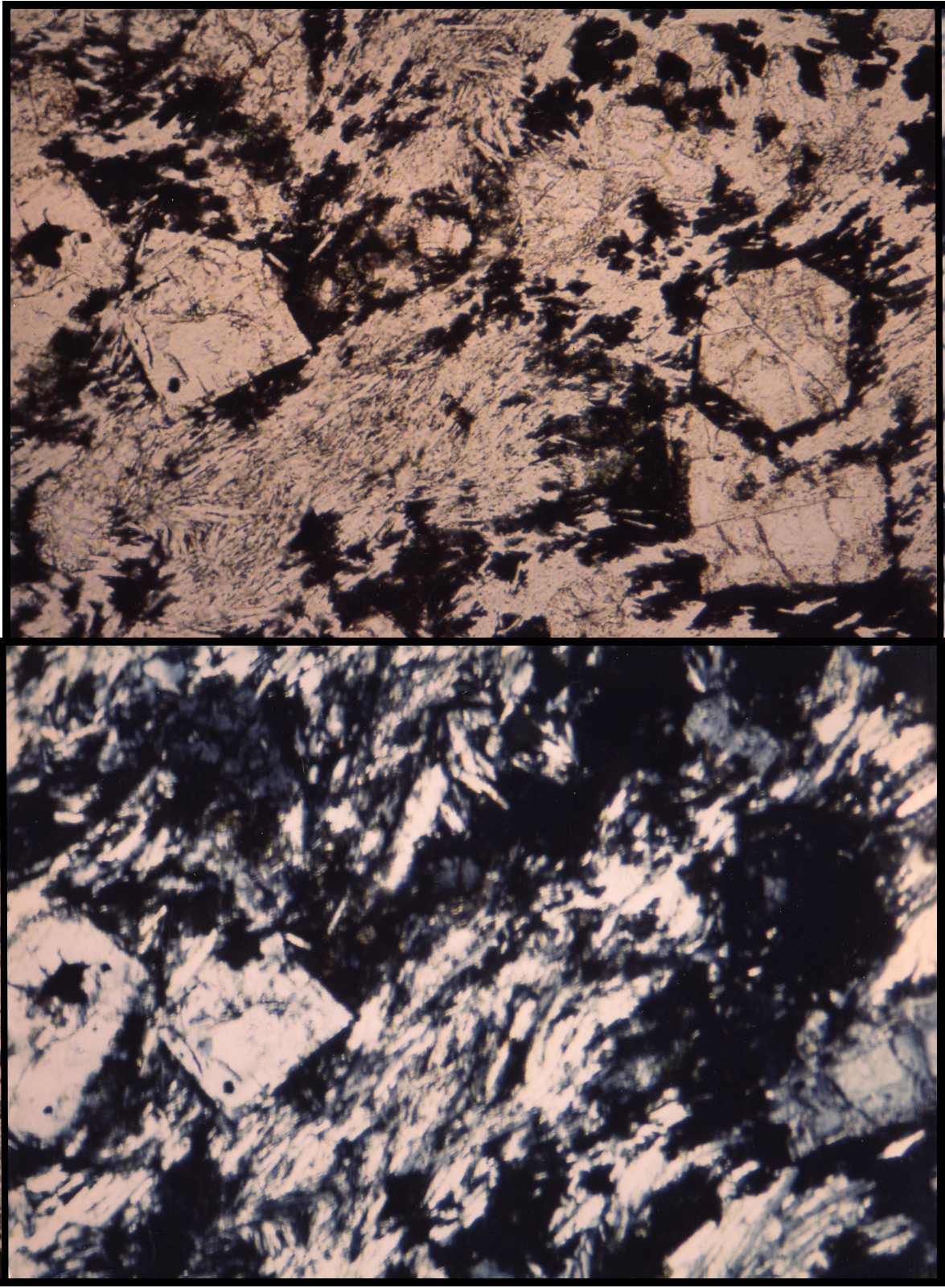Phonolite
