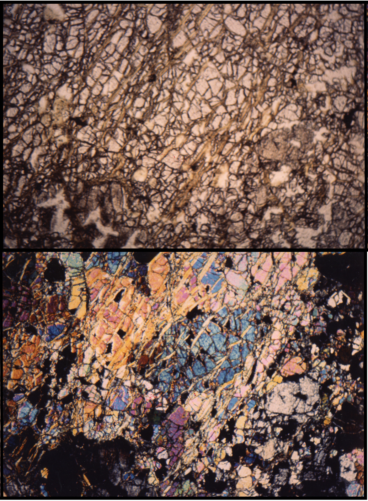 Harzburgite