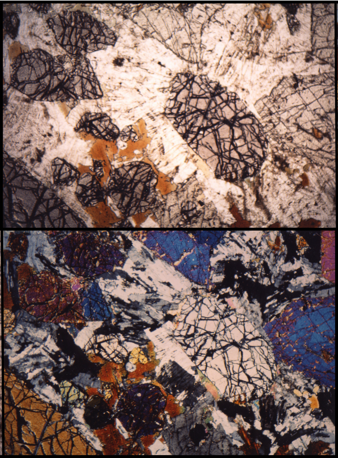 Syeno gabbro