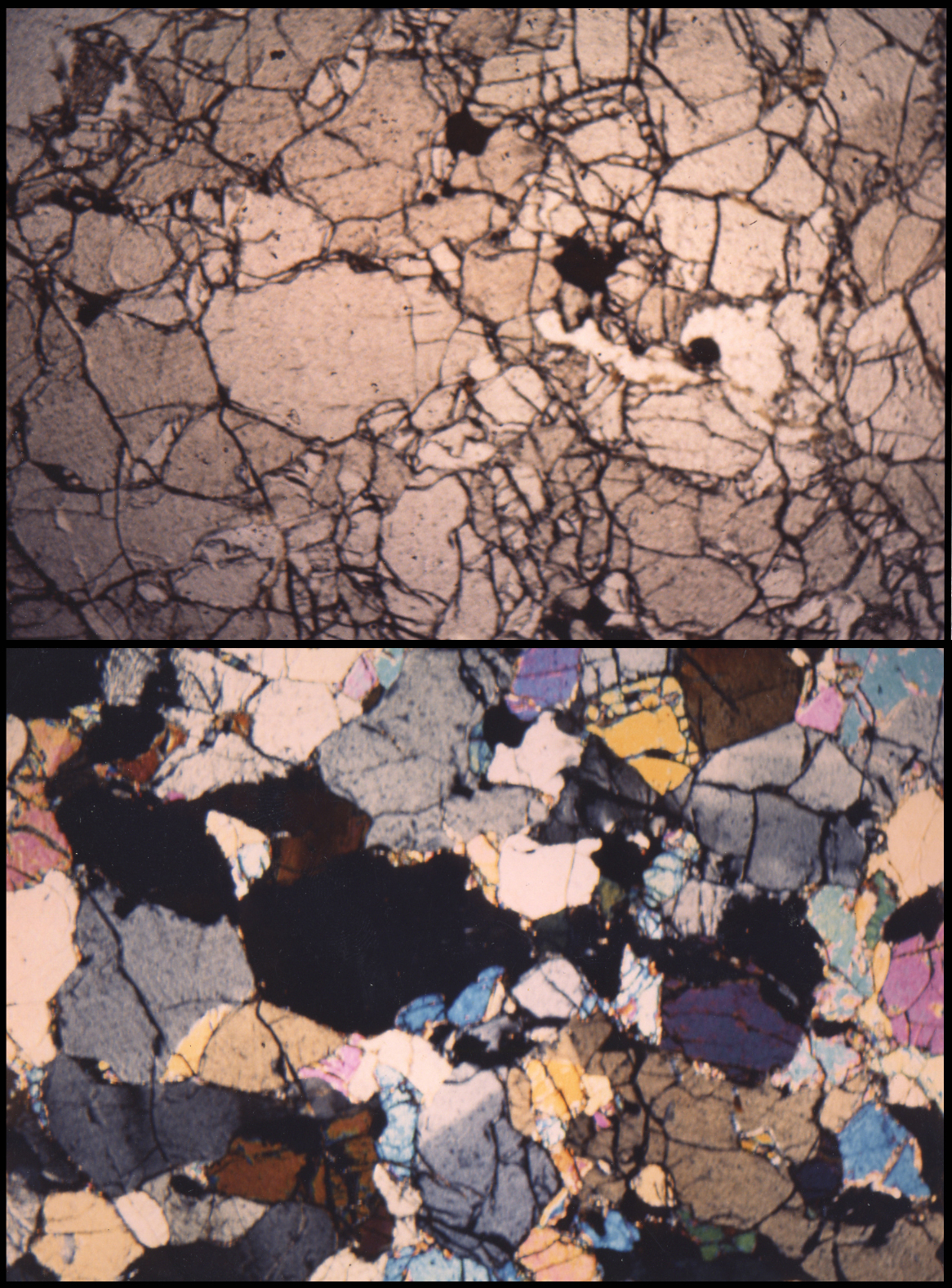 Lherzolite