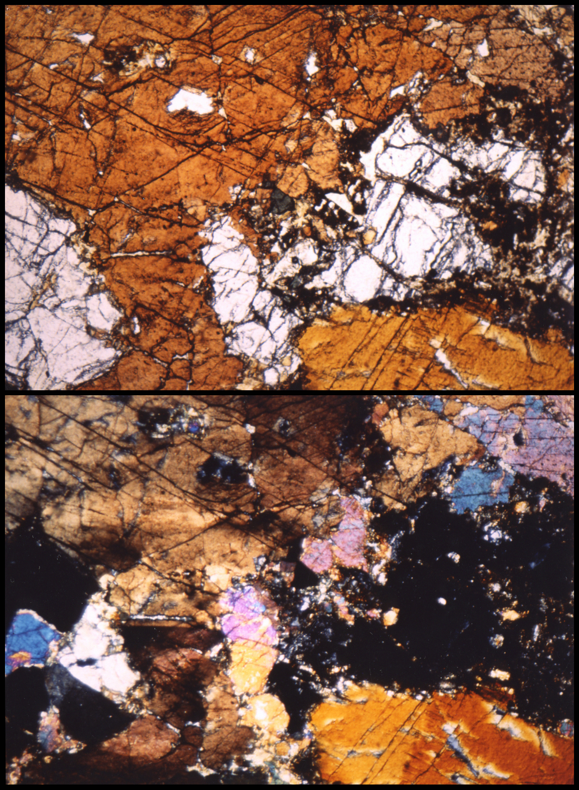 Amphibolite