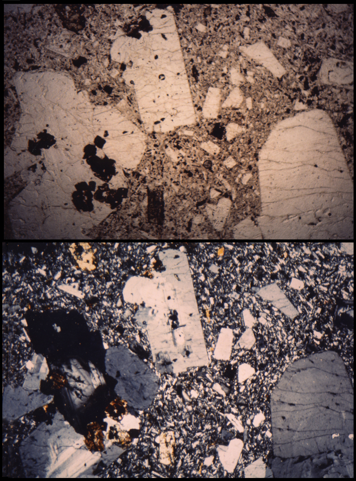 Sanidine plagioclases