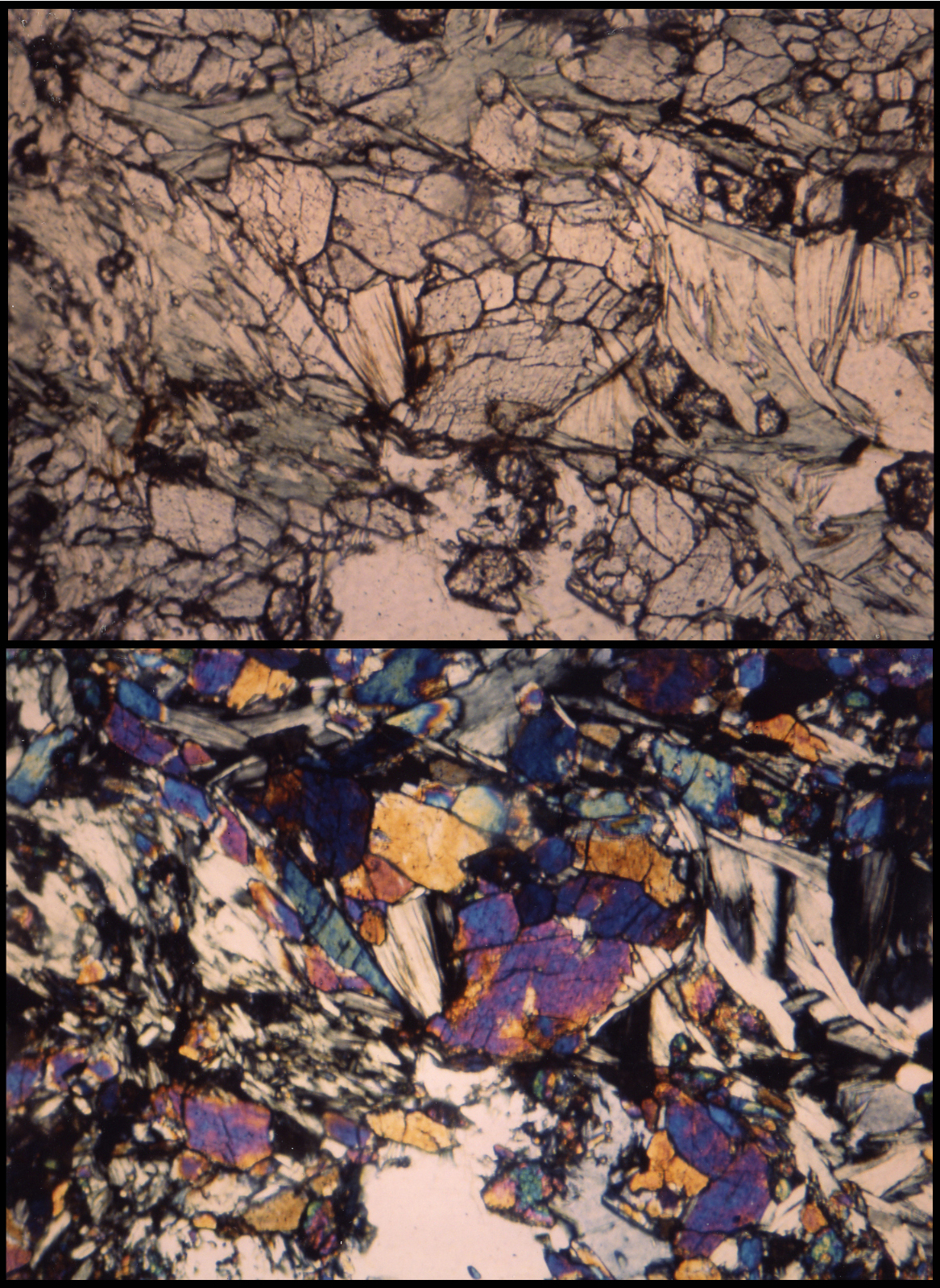 Prasinite