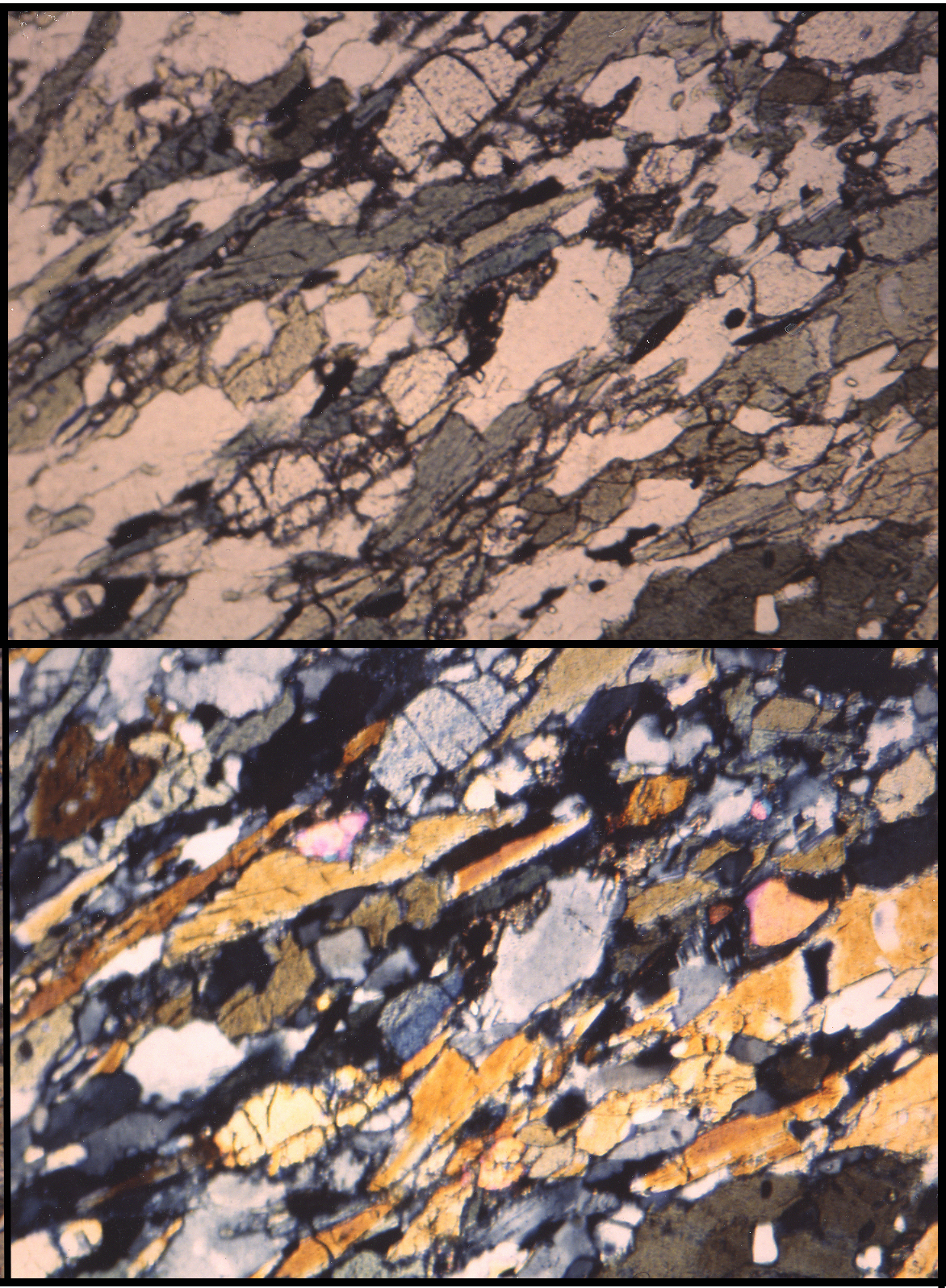 Gneiss