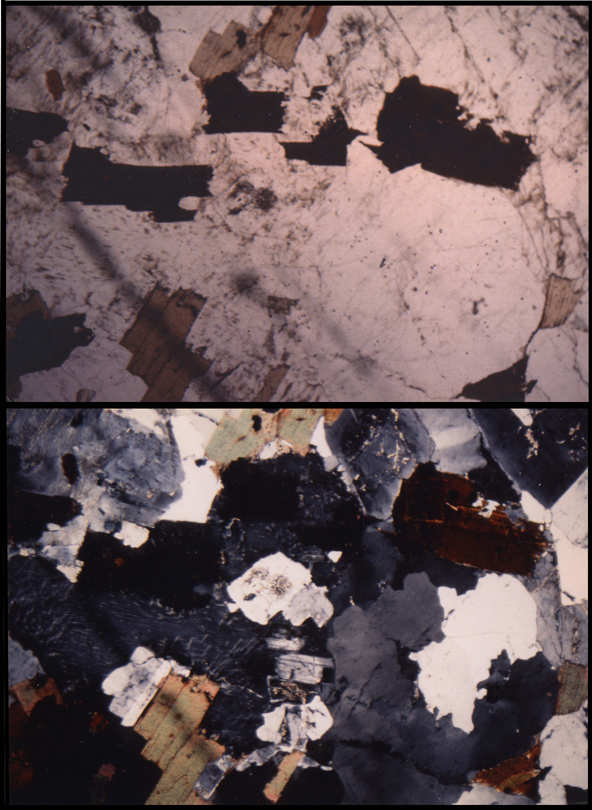 Granite monzonitique