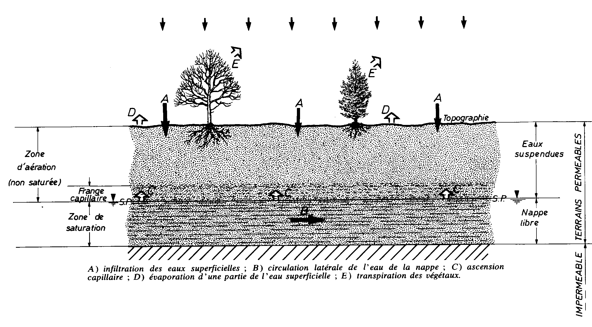 Cycle de l'eau dans le sol