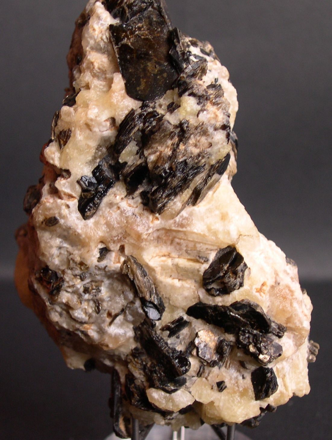 Biotite