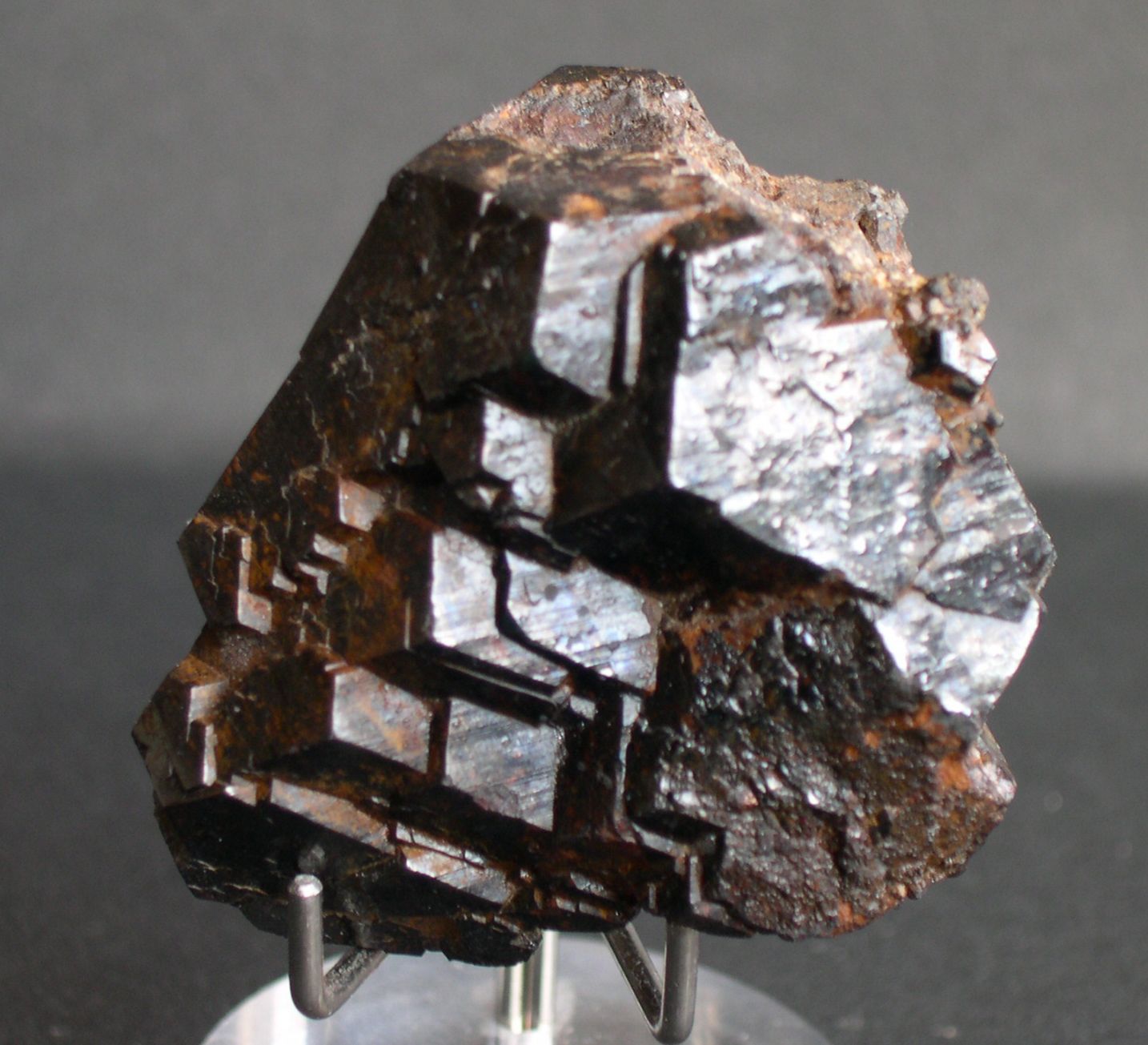 Blende