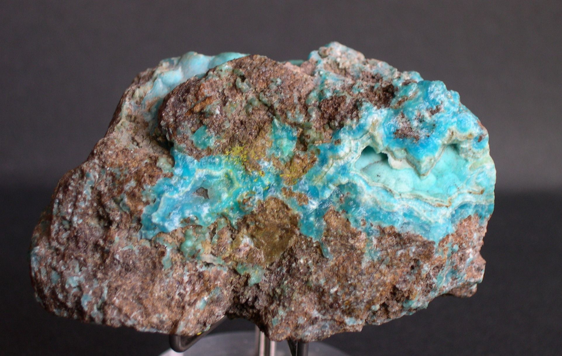 Chrysocolle
