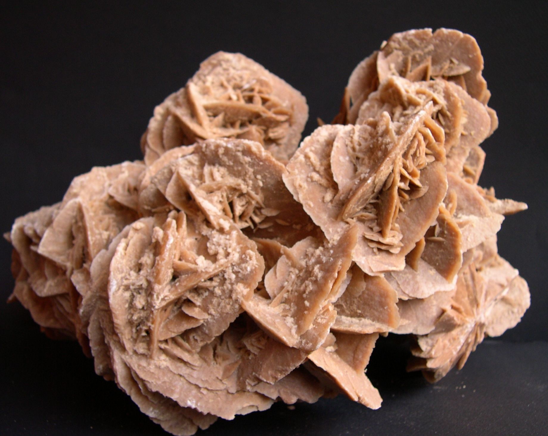 Gypse rose des sables