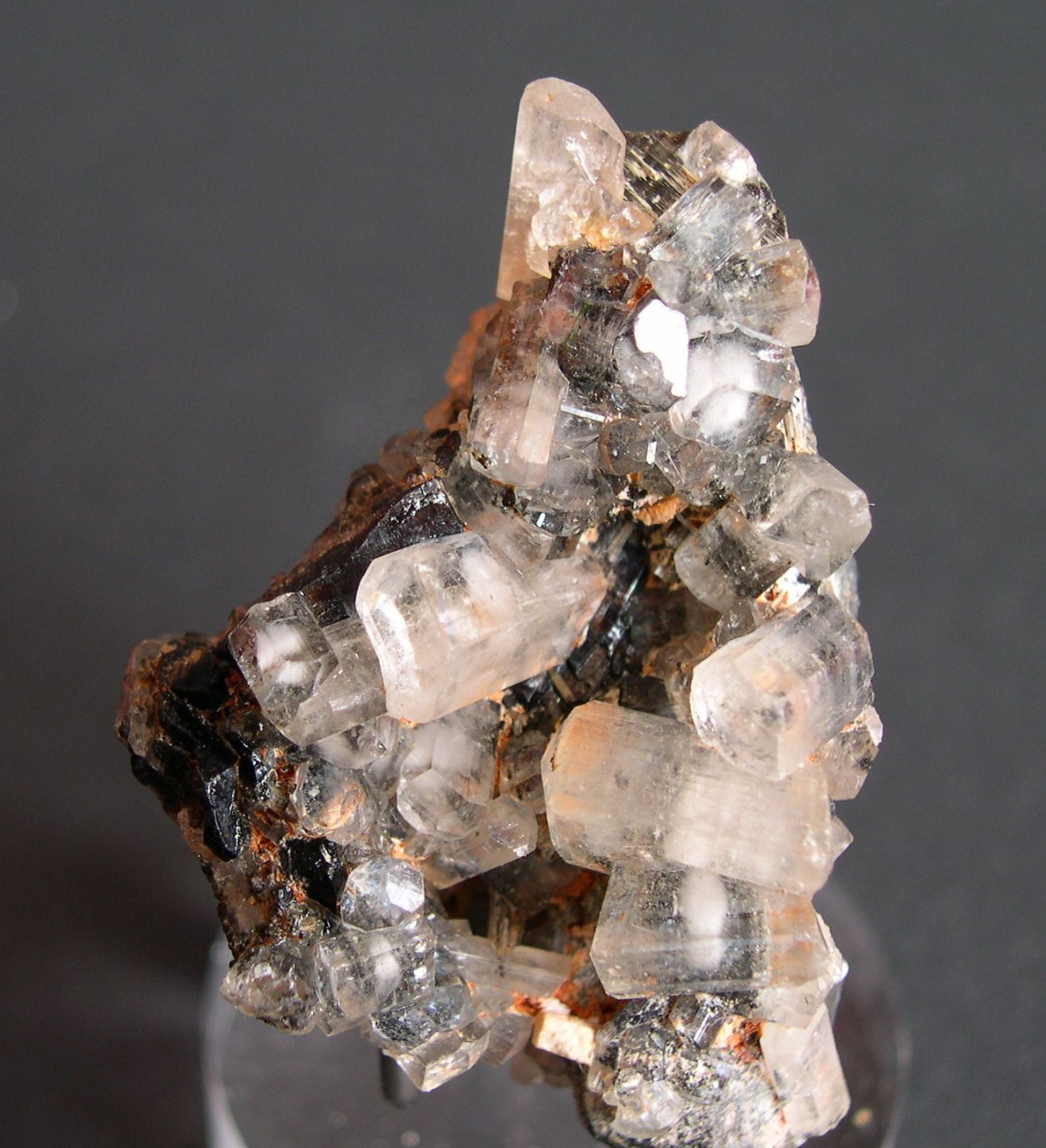 Phénacite