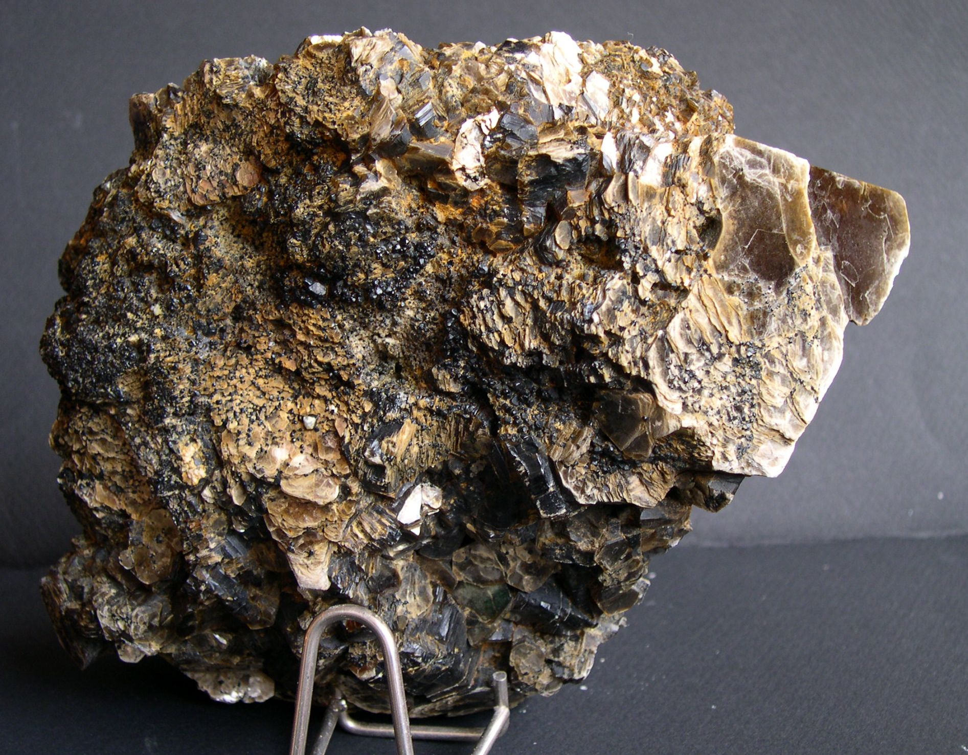 Phlogopite